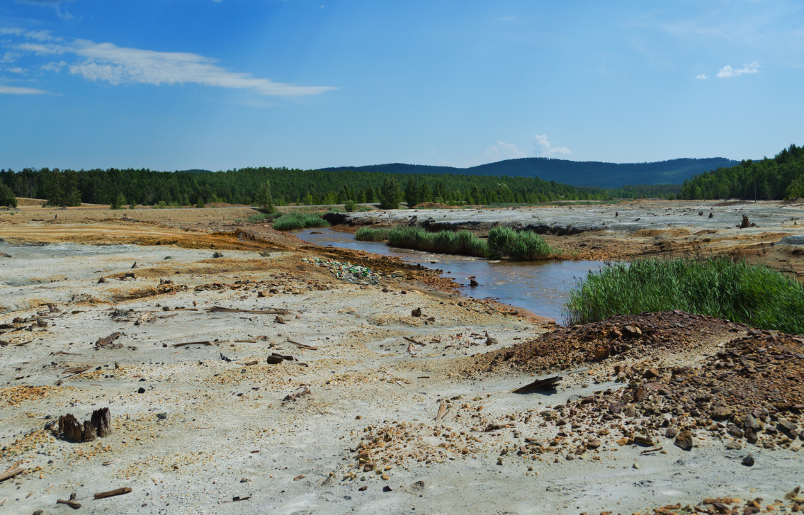 Undeveloped land area